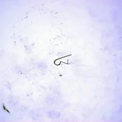 Sturmey Archer Palfjeder SA Sprinter & AT-3