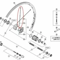 Shimano WH-7900-C24-TL-R 304 Mm Eger