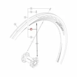 Eger Til Shimano RS81 C50 289mm